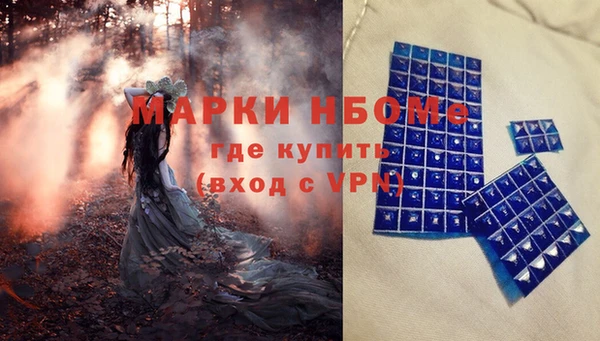 хмурый Новозыбков