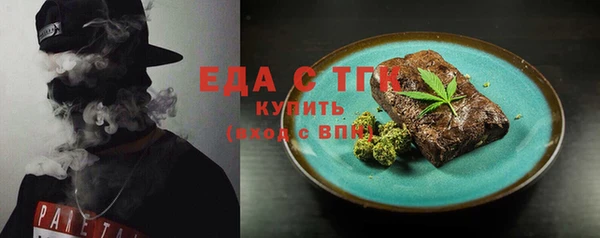 хмурый Новозыбков