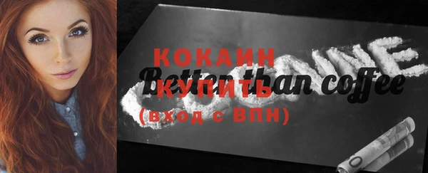 хмурый Новозыбков