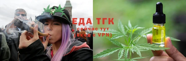 хмурый Новозыбков