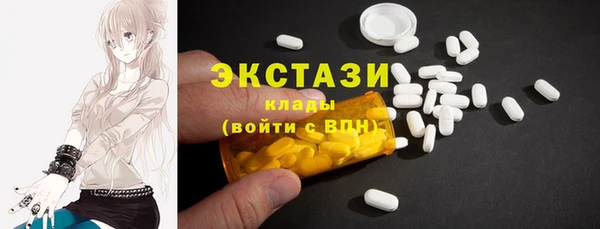 хмурый Новозыбков
