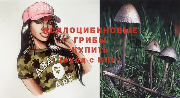 наркотики Новодвинск