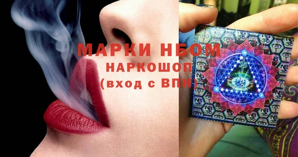 хмурый Новозыбков