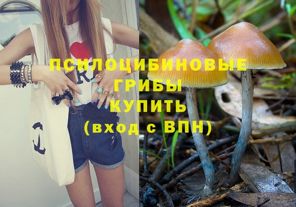 хмурый Новозыбков