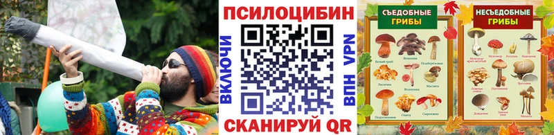 площадка состав  Сергач  Галлюциногенные грибы Psilocybe  хочу наркоту 